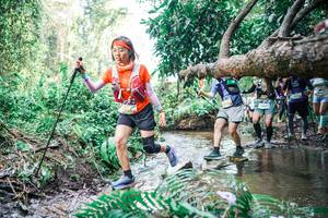 BIB: 
                            <button type="button" onclick="openModal(25477261)" class="btn btn-primary btn-sm float-right btn-popup" data-toggle="modal" data-target=".modal-high-quality">
                        <i class="fas fa-shopping-cart"></i> Add to Cart
                    </button>
                                            <button type="button" onclick="isThisMe(25477261, true)" class="btn btn-success btn-sm float-right btn-popup btn-isme hidden" data-toggle="tooltip" data-placement="bottom" title="นี่คือรูปของคุณใช่ไหม คลิกที่นี่เพื่อเอาเข้าอัลบั้ม">
                        <i class="fas fa-plus"></i> Add to album
                    </button>
                    <button type="button" onclick="isThisMe(25477261, false)" class="btn btn-warning btn-sm float-right btn-popup btn-isnotme hidden">
                        <i class="fas fa-ban"></i> Remove from album
                    </button>